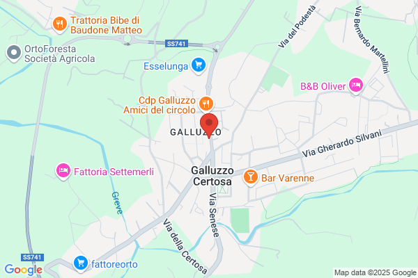 Fabbrini Carlo - Delegazione Aci Galluzzo