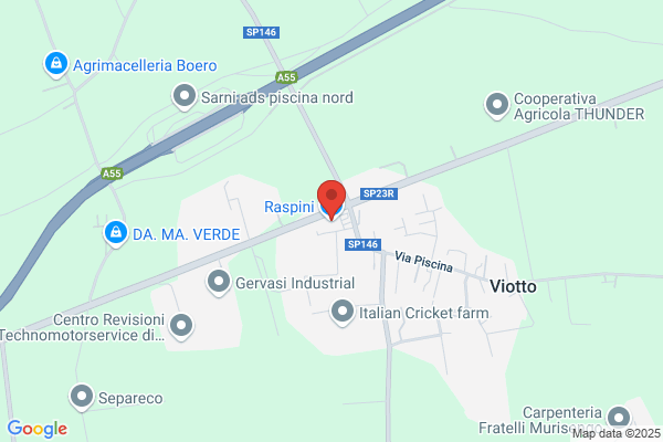 Raspini (S.P.A.)
