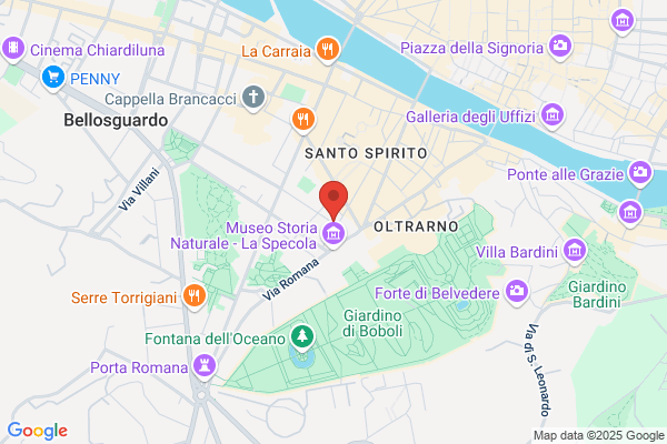 Scarpe su Misura Giordano Alessandro