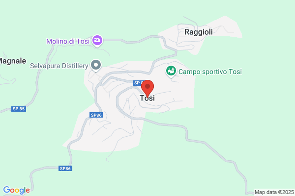 Tosi silano
