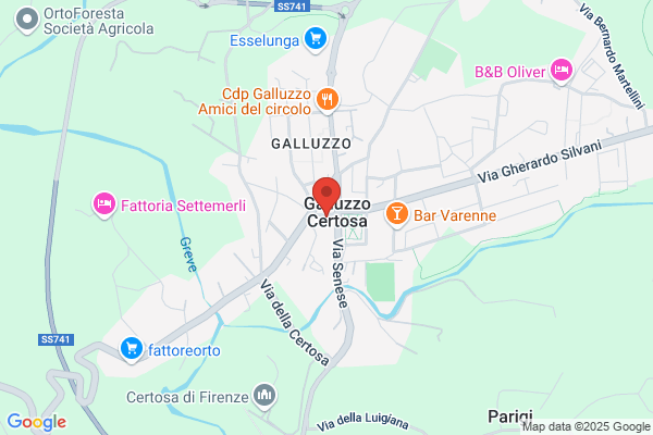 Carrozzeria Galluzzo