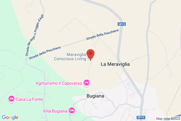 Maraviglia vasco
