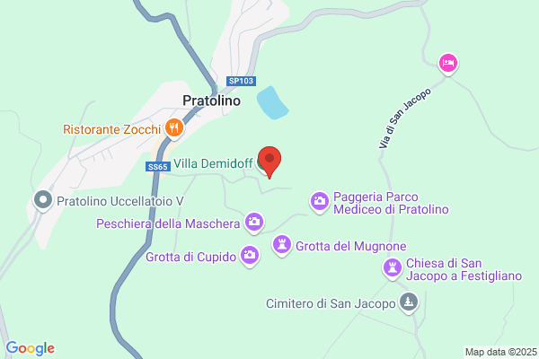 Piantini mario
