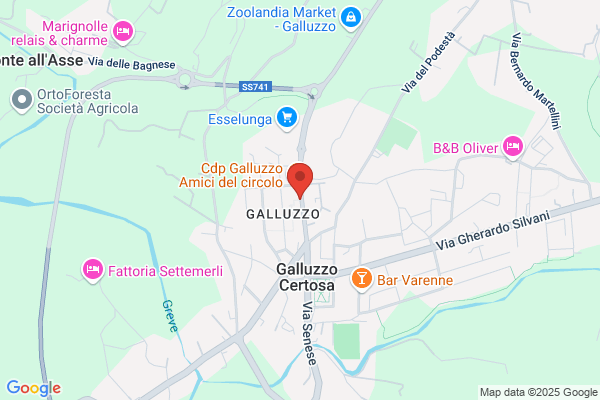 Palestra Porta Romana Muteki Dojo A.S.