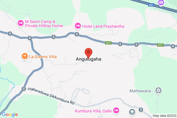 Angulugaha Gamage jagath Chandra