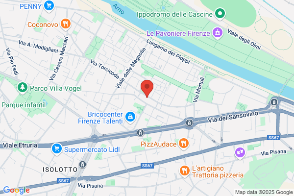 Esso Firenze Via Torcicoda