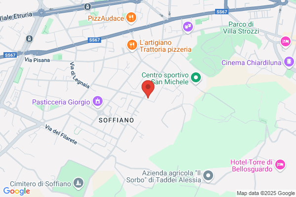 Sprocchetti liana
