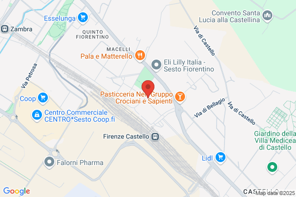 Edizioni Allinsegna Del Giglio In Firenze S.A.S.