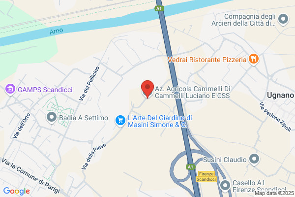 Innocenti E Cammelli Srl