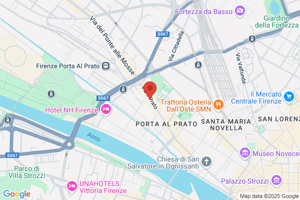Tofanari Luigi Di Focardi Massimo E Paolo s.N.C.