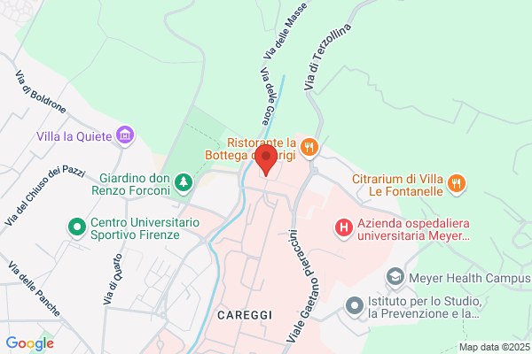 Universita Studi Di Firenze/Dipartimento Dell Area Critica medico/// ( Chirurg