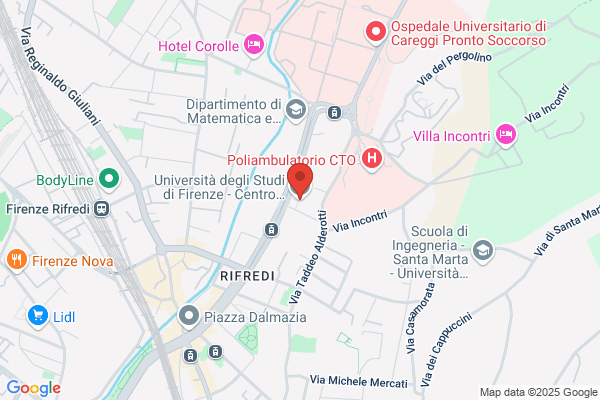 Universitadegli Studi Di Firenze/Dipartimento Di Fisiopatologia Cl/// (Inica)