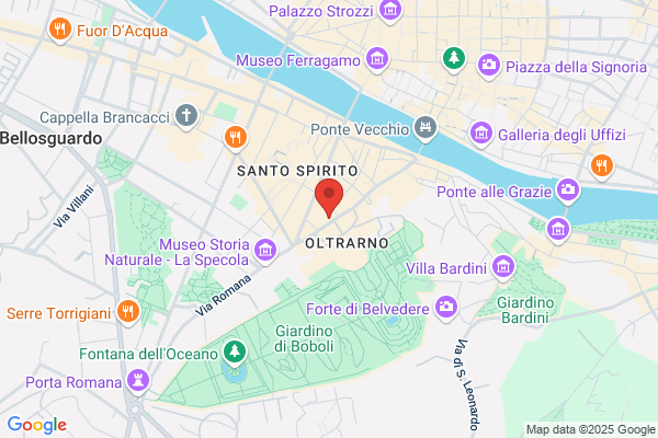 Opera Laboratori Fiorentini Srl