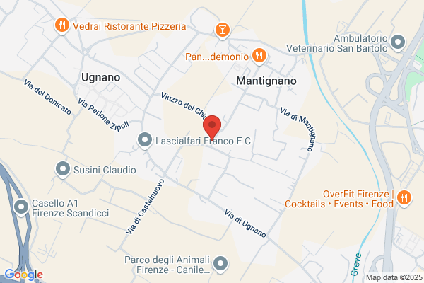 Masini silvano