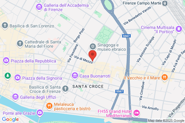 Palma renato (Dr.)
