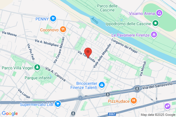 Fiesoli Alessandro (Geom.)