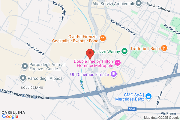Mollificio Cecchi Srl