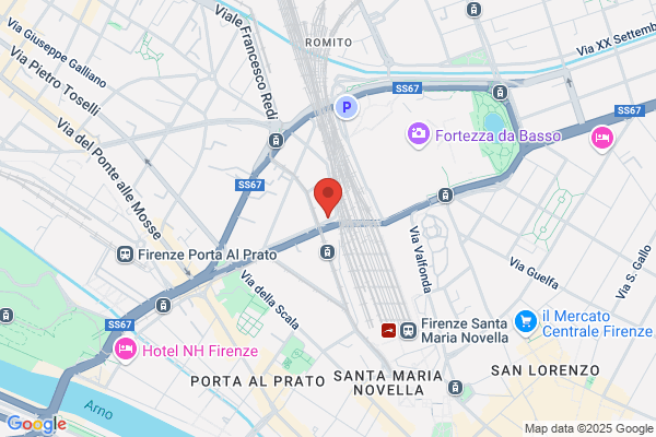Finart Fidi