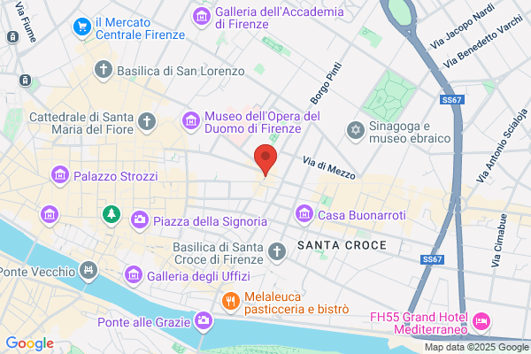 Antico Noè