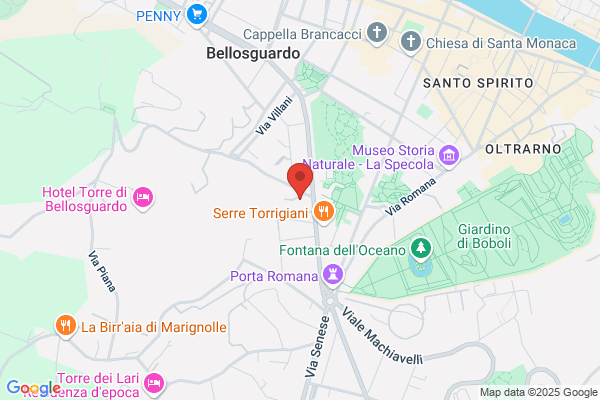 Gruppo Pit Srl
