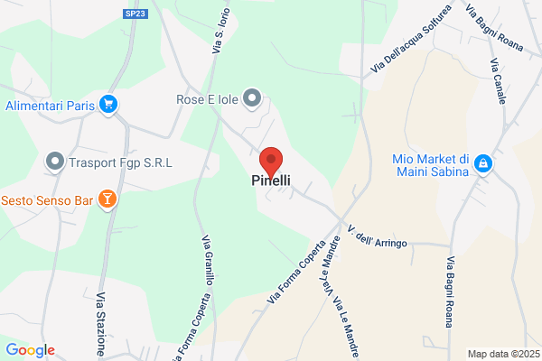 Pinelli gianluca