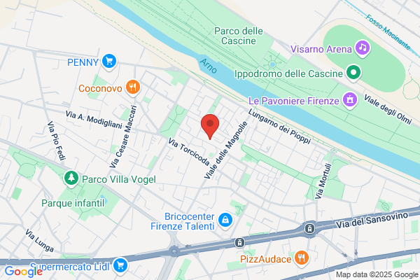 Guided Tours of Florence