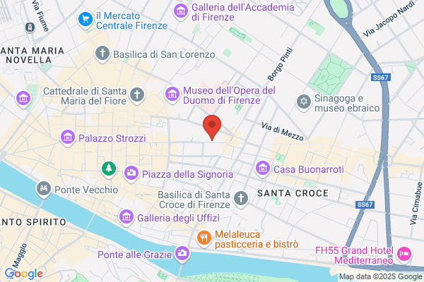 Istituto Papirologico Girolamo Vitelli