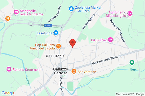 Bertini, Vanni