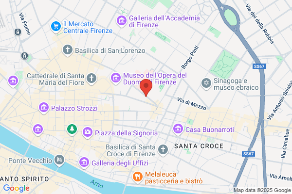 Veterinario Firenze Centro