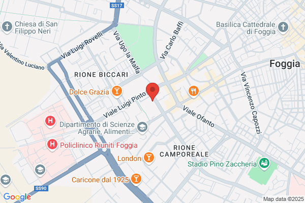 Nemotour Foggia