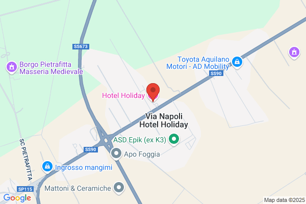 Hotel Holiday