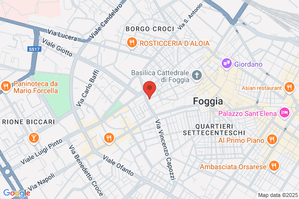 Universita Degli Studi Di Foggia