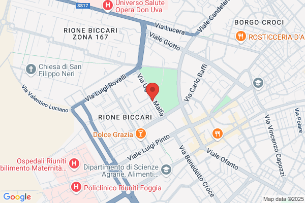 Muscillo angelo (Proc. Leg.)