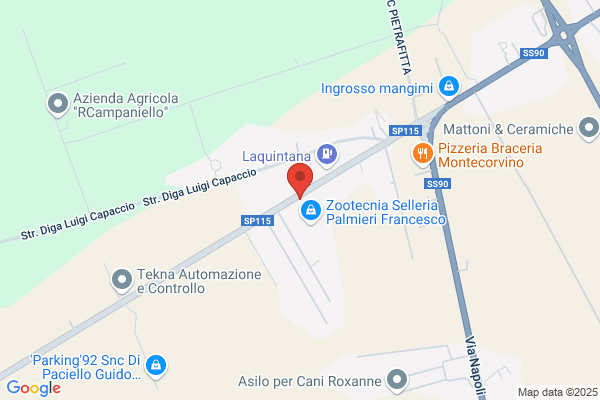 Pellegrini raffaele