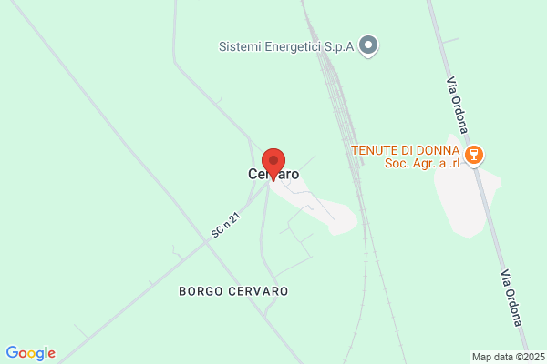 Salatto potito (Dr.)