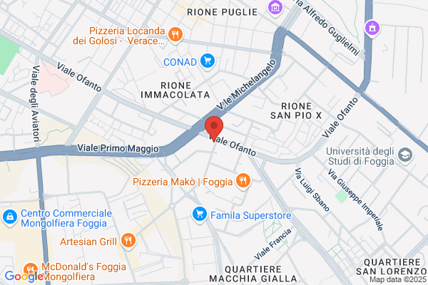 Meccanografica Sud Di Ernesto Vallario & F.Lli (S.A.S.)