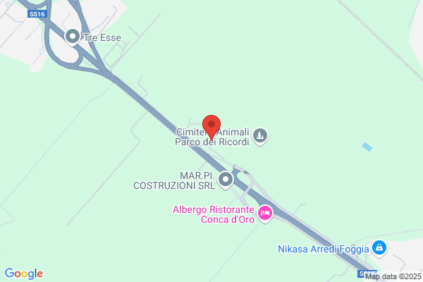 Fonderie Di Foggia S.R.L.