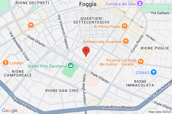 Istituto Ortopedico Banfo (S.R.L.)