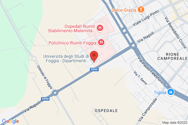 Universita Degli Studi Di Foggia