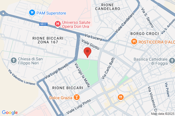 Piu Cani Piu Belli