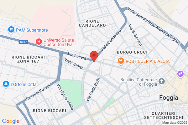 Saltarelli L. & Carosielli G. Sdf