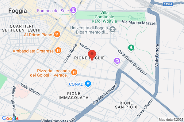 Partito Democratico Della Sinistra