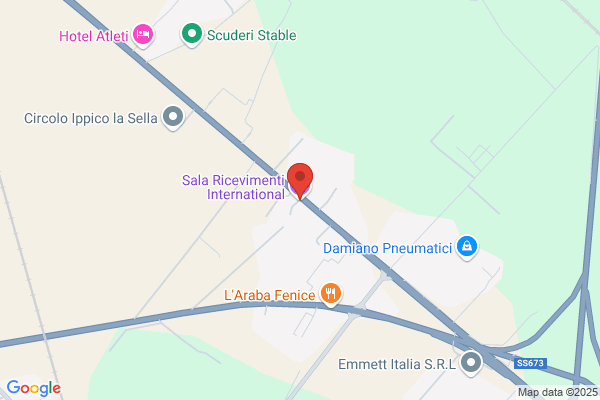 International Ricevimenti
