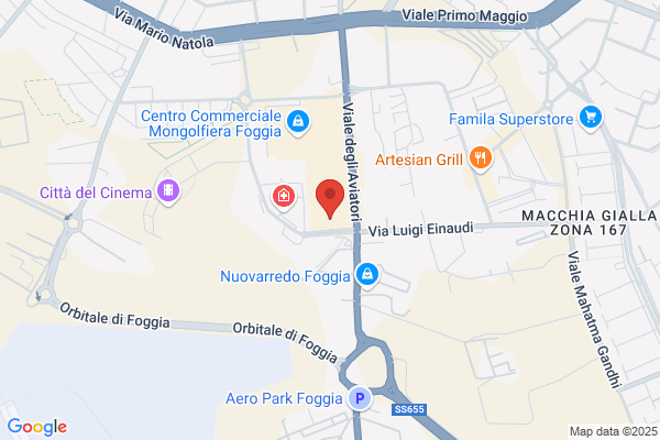 Mc Donalds Franchising And Operations Company