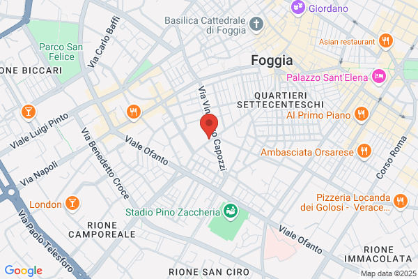 Il Ruolo Terapeutico