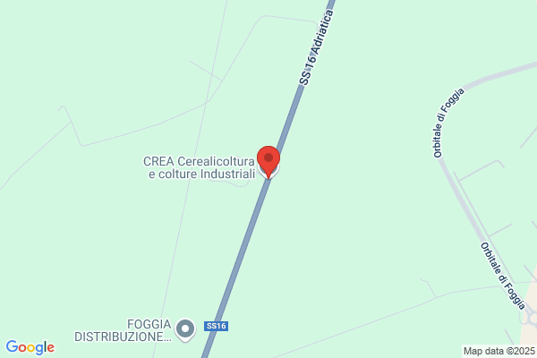 Istituto Sperimentale Per La Cerealicoltura-Roma