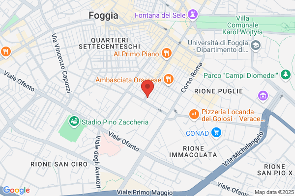 Oxer Store Di Russo Alfredo