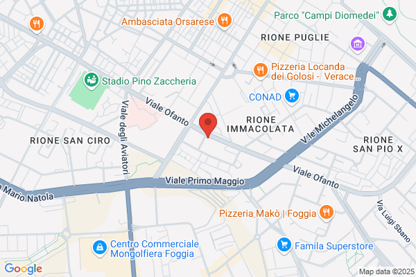 Servizi Trasporti Depositi S.R.L.