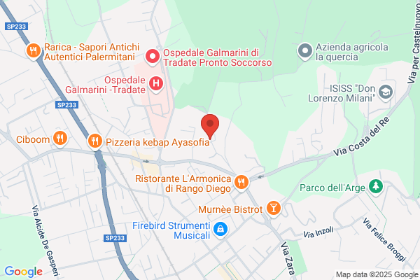 Limpronta Di Flamigni Grazia