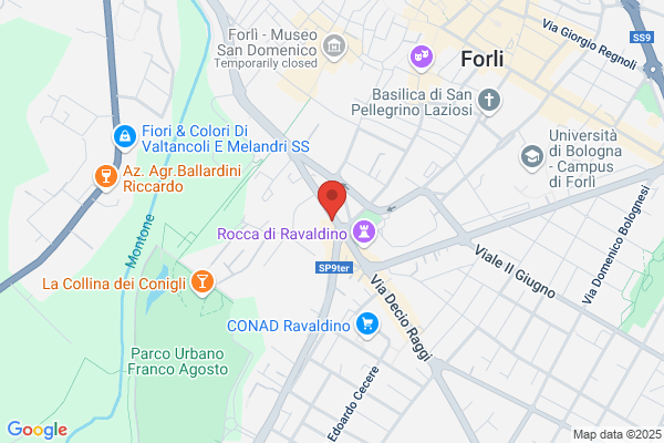 Irish Pub Srl